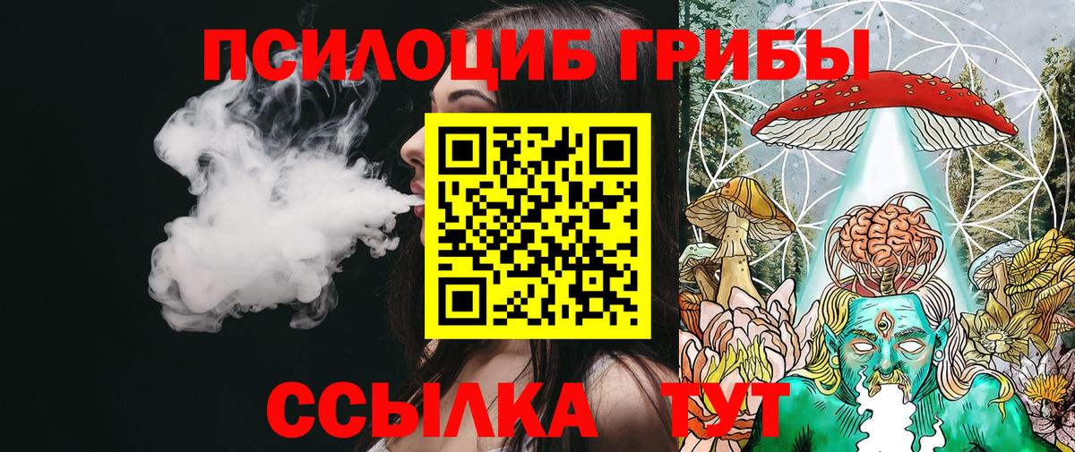 Галлюциногенные грибы Cubensis Сергиев Посад